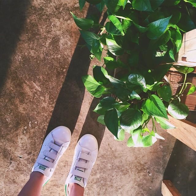 adidas stan smith tressé