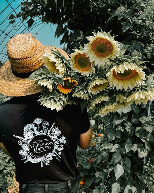 T-shirt CottoVer® unisexe avec impression sur le devant et au dos