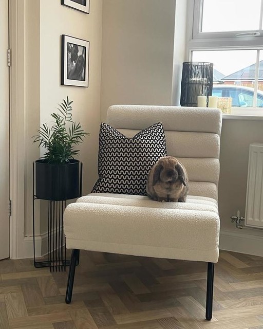 Missie has found her favourite spot in the lounge 💗 and we love this corner of the lounge too! Chair is soooo comfy too from the Calix range dfs 😍  #interiordesign #livingroom #loungechair #loungedecor #livingroomdecor #dfs