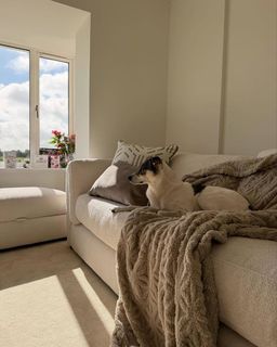 New sofa day 🫶

Absolutely in LOVE with this Ada sofa from dfs couldn’t be happier and the delivery people were amazing!!!

#charleschurchlife #newbuild #newbuildjourney #homedecor #homeaccount
